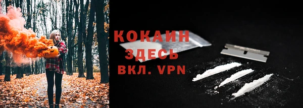 дживик Балахна