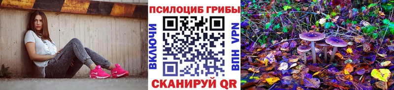 Галлюциногенные грибы Psilocybine cubensis сколько стоит мориарти клад Салаир